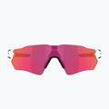 Occhiali da sole Oakley Radar EV S Path bianco lucido/prizmato 2