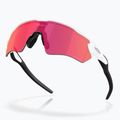 Occhiali da sole Oakley Radar EV S Path bianco lucido/prizmato 4