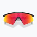 Occhiali da sole per bambini Oakley Resistor Sweep Dark Galaxy/Prizm Ruby 3