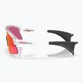 Occhiali da sole Oakley Stunt Devil matte clear/prizm field 5