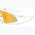 Occhiali da sole per bambini Oakley resistor sweep matte white/prizm 24k 6