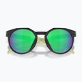 Occhiali da sole Oakley HSTN matte black 5