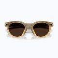 Occhiali con telecamera Oakley Meta HSTN light curry/transitions brown 3