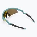 Occhiali da sole per bambini Oakley Resistor Sweep matte pacific/prizm ruby 2
