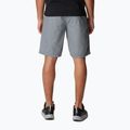 Pantaloncini da trekking Columbia Washed Out da uomo, grigio cenere 2