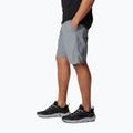 Pantaloncini da trekking Columbia Washed Out da uomo, grigio cenere 3