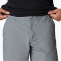 Pantaloncini da trekking Columbia Washed Out da uomo, grigio cenere 4