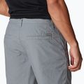 Pantaloncini da trekking Columbia Washed Out da uomo, grigio cenere 5