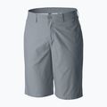 Pantaloncini da trekking Columbia Washed Out da uomo, grigio cenere 6