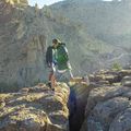 Pantaloncini da trekking Columbia Washed Out da uomo, grigio cenere 9