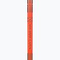 Bastoncini da sci Salomon Arctic arancione 3