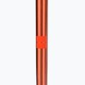Bastoncini da sci Salomon Arctic arancione 4
