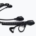 Linee di trapezio NeilPryde Harness Race C1 nero 2
