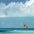 DUOTONE Kite Rebel SLS 2025 arancio/blu 11