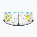 Aquilone da kitesurf Duotone Evo D/LAB grey/lime 6