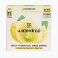 Bevanda reidratante Microdrink Tè freddo 12 cubetti limone