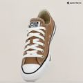 Scarpe da ginnastica Converse Chuck Taylor All Star Classic Ox per il tè caldo 9