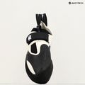 Scarpa da arrampicata Evolv Zenist grigio/nero 18