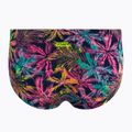 Funky Trunks Classic Trunks da uomo Slip da bagno con cucciolo di palma 2