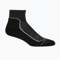 Calze da trekking Icebreaker da donna Hike+ Light Mini grigio