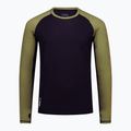 Maglia termica da uomo Mons Royale Temple Merino fern/black 3