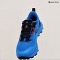 Scarpe da corsa da uomo Saucony Peregrine 14 cobalto/nero 11