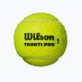 Palline da tennis Wilson Triniti Pro 3 pcs. yellow 2