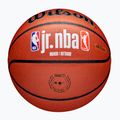 Wilson NBA JR Fam Logo basket Indoor outdoor marrone taglia 7 5