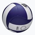 Wilson Helix Gioco Pallavolo blu/bianco taglia 5 6