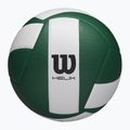 Wilson Helix Gioco Pallavolo verde/bianco taglia 5