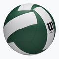 Wilson Helix Gioco Pallavolo verde/bianco taglia 5 2