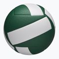 Wilson Helix Gioco Pallavolo verde/bianco taglia 5 4