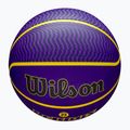 Wilson NBA Player Icon Outdoor basket Lebron blu dimensioni 7 4