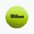 Palline Wilson Premier Padel 3 pz. giallo 5
