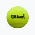 Palline da padel Wilson Premier Padel Speed 3B 3 pz. yellow 2