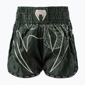 Shorts da allenamento uomo Venum Serpenti Muay Thai khaki/bronze/ivory
