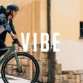 Orbea Vibe H10 EQ 36V 6.9Ah 248Wh 2022 rosso scuro metallizzato bici elettrica 15