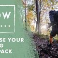 Zaino da trekking Salomon XT 10 l bianco/nero 8