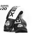 DBX BUSHIDO B-2V20 Guanti da sparring Active Clima 23