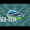 JOBE Sea-esta Towable 3P galleggiante trainabile blu/verde 12