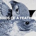 Snowboard donna CAPiTA Birds Of A Feather multicolore 12