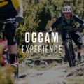 Orbea Occam H10 2023 verde scuro/verde lime mountain bike 3