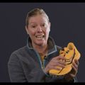 Scarpe da corsa da donna Saucony Peregrine 12 bacino/oro 14