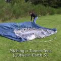Tenda da campeggio per 5 persone Outwell Earth 5 verde scuro 9