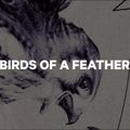 Snowboard donna CAPiTA Birds Of A Feather Wide 2021 5