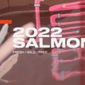 Slingshot Salmon wakeboard blu/nero/rosa 9