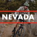 Fuji Nevada 29 1.3 argento satinato mountain bike 5