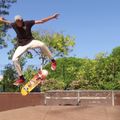 Street Surf Street Skate 31 cannon classic skateboard 11