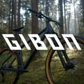 Kellys Gibon 30 27,5" mountain bike grigio/verde 16