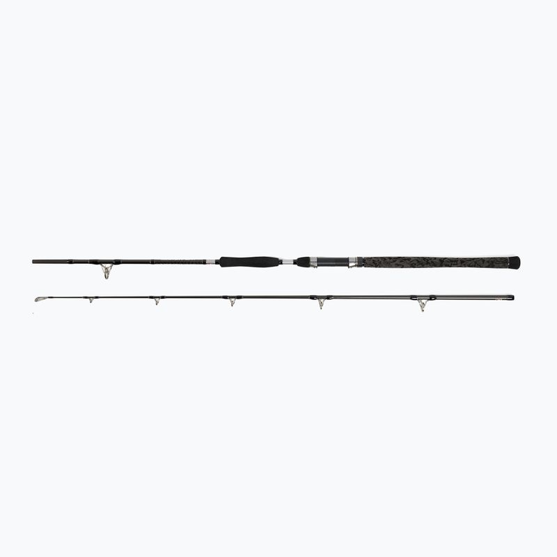 Canna da pesca Penn Legion Cat Silver AlLRound 2 Sec nero/argento